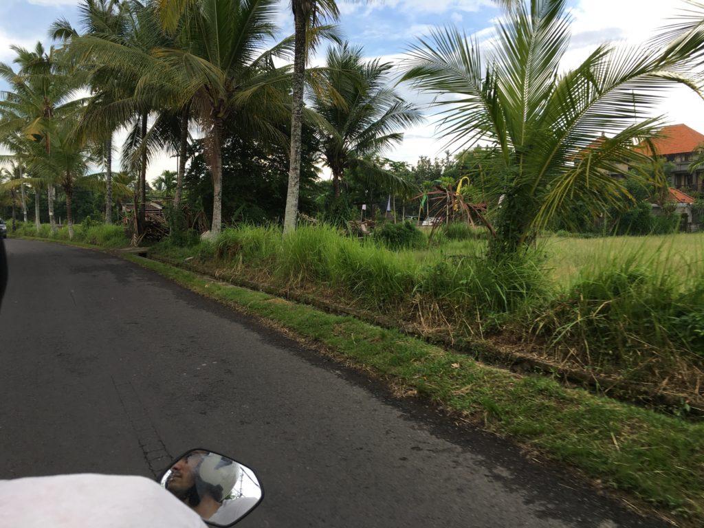 Riding a scooter through Bali